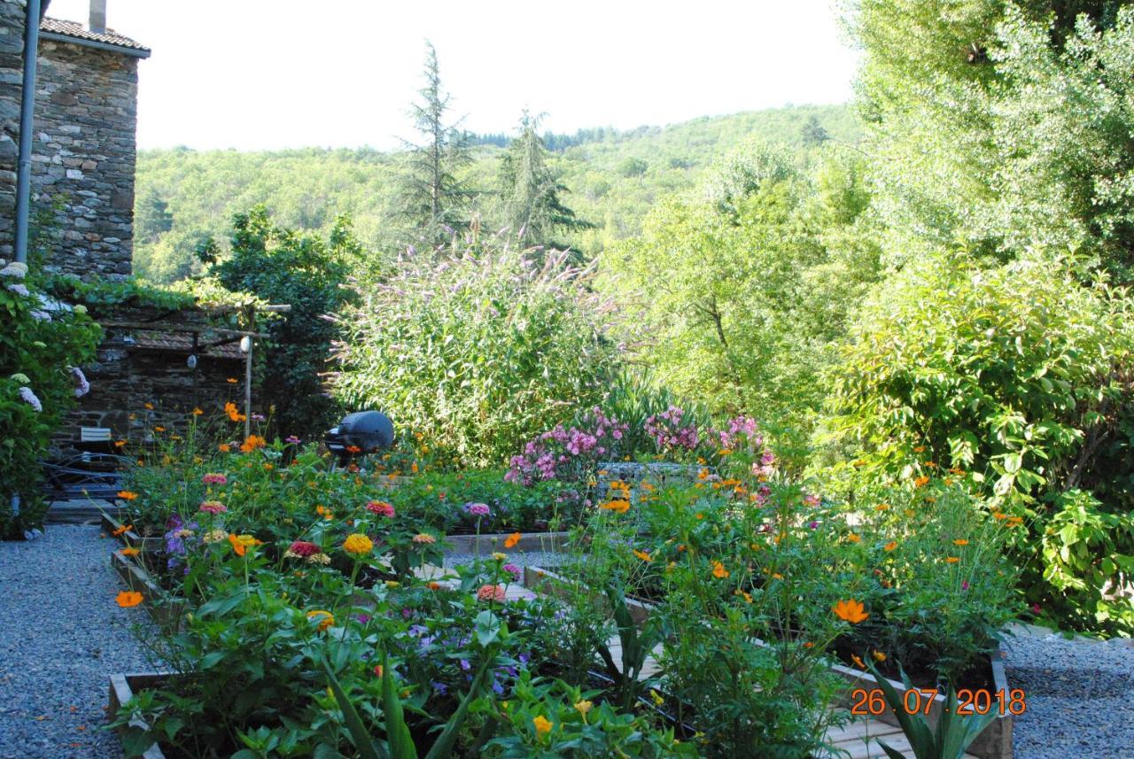 Alberguiere - Piscine Chauffee - Plancha - Barbecue Sainte-Croix-Vallee-Francaise Luaran gambar