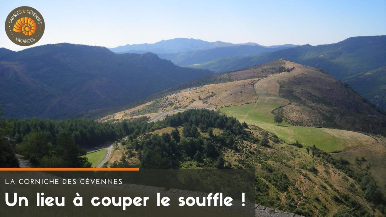 Alberguiere - Piscine Chauffee - Plancha - Barbecue Sainte-Croix-Vallee-Francaise Luaran gambar