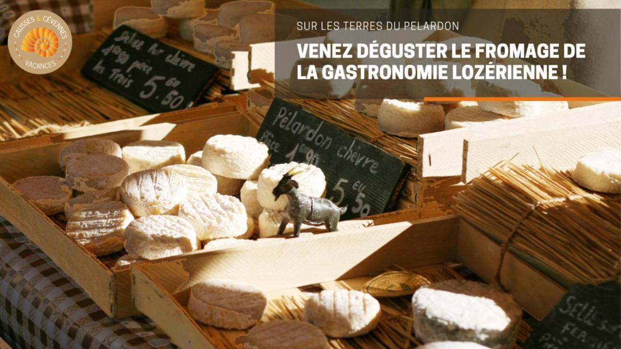 Alberguiere - Piscine Chauffee - Plancha - Barbecue Sainte-Croix-Vallee-Francaise Luaran gambar